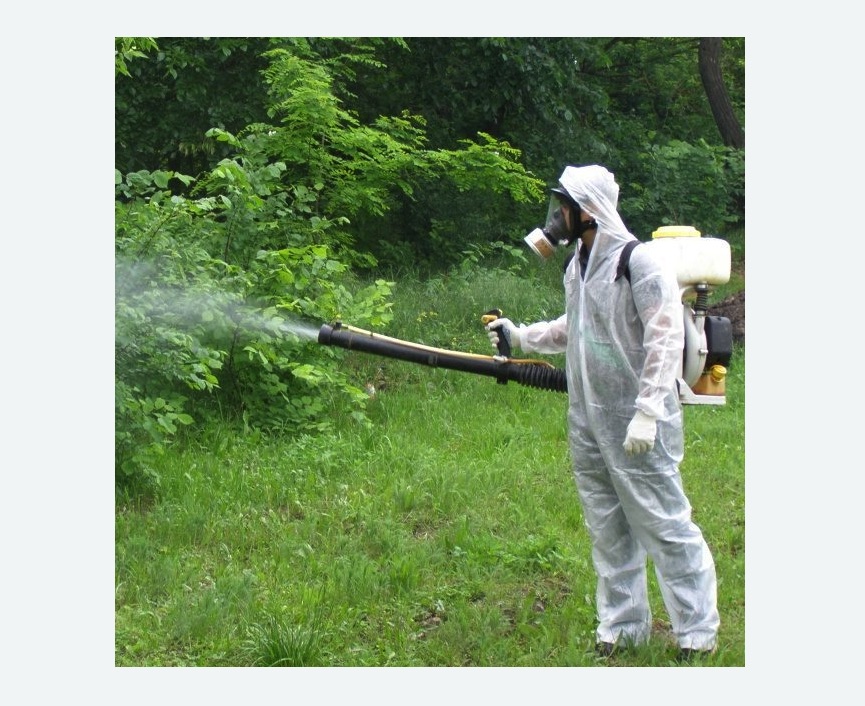 обработка территории от клещей в Кубинке