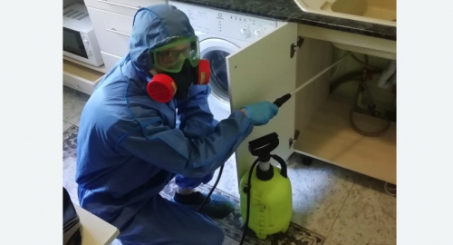 Уничтожение муравьев в квартире. Кубинка