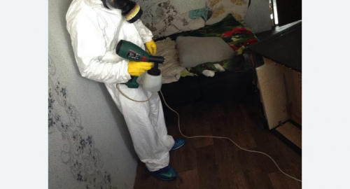 Обработка квартир от насекомых в Кубинке