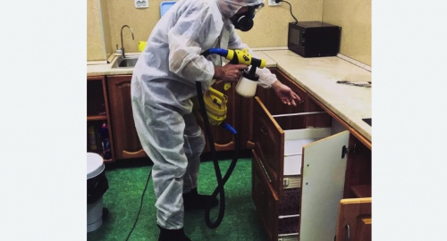 Дезинсекция квартиры. Кубинка