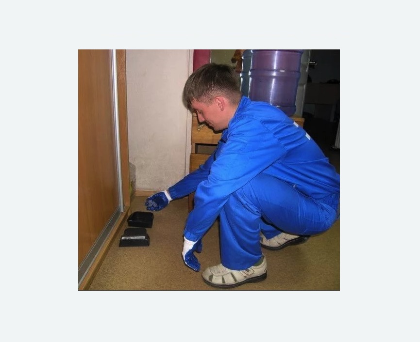 Дератизация крыс в Кубинке