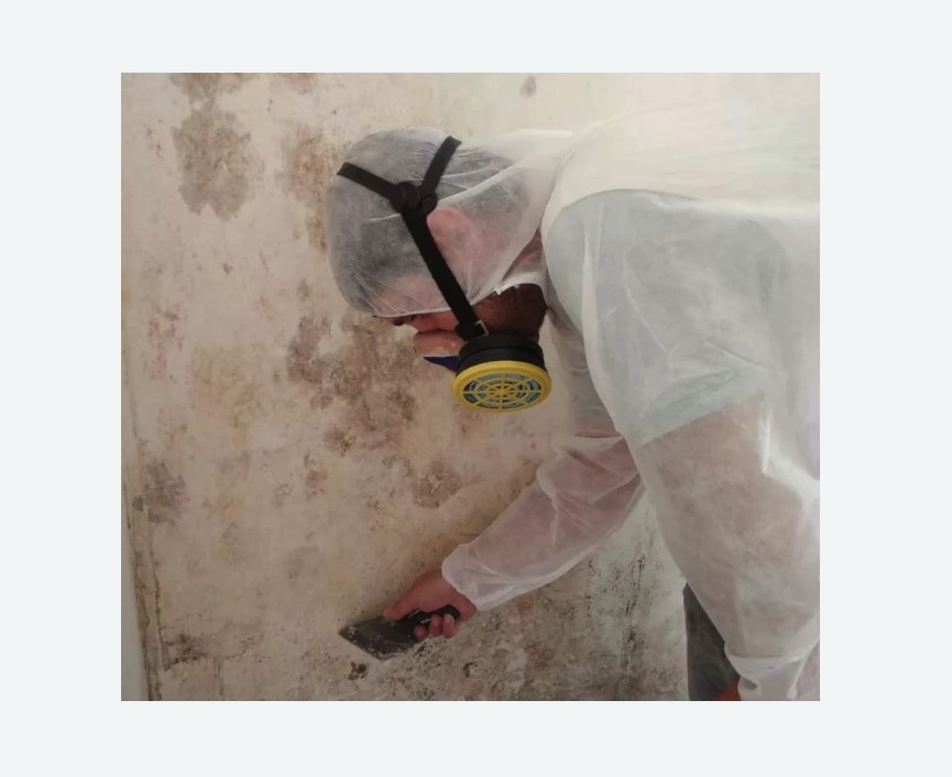 Обработка стен от плесени в Кубинке
