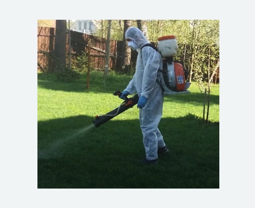 Обработка участка от клещей в Кубинке Обработка участка от клещей