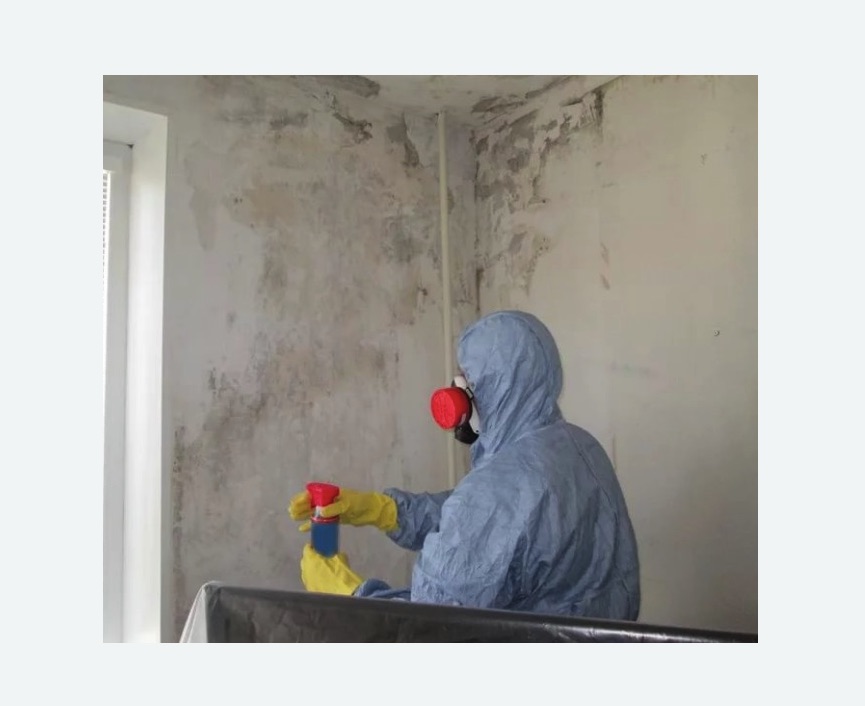Удаление плесени в квартире в Кубинке