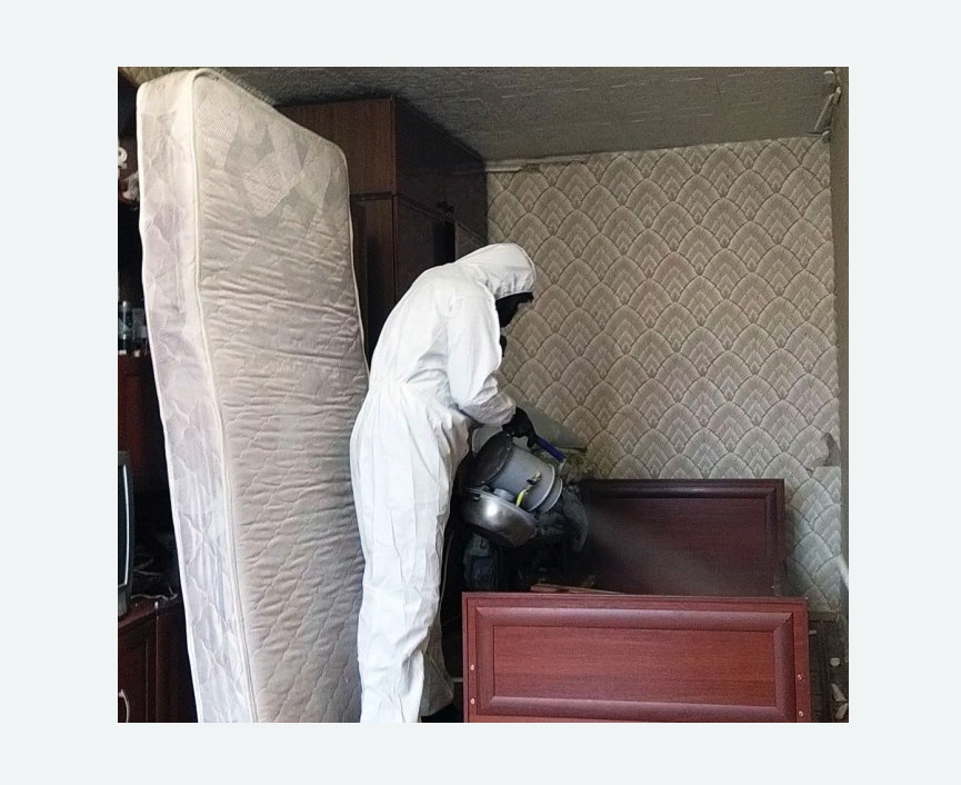 дезинфекция от клопов в Кубинке