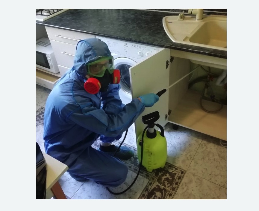 обработка от муравьев в квартире в Кубинке