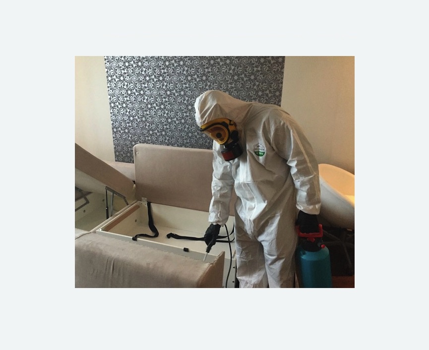 уничтожение клопов в квартире в Кубинке