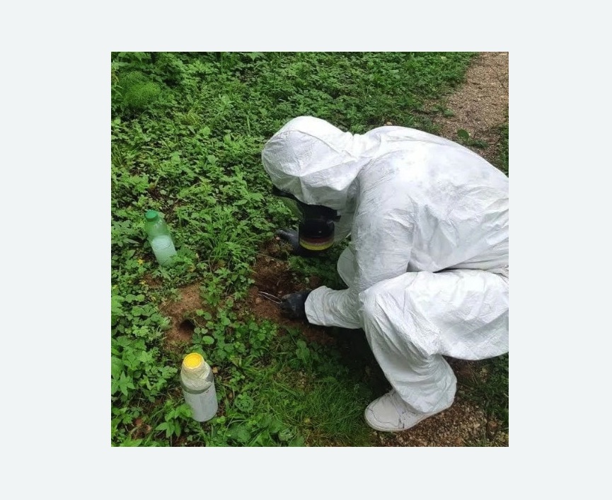 уничтожение кротов на участке в Кубинке