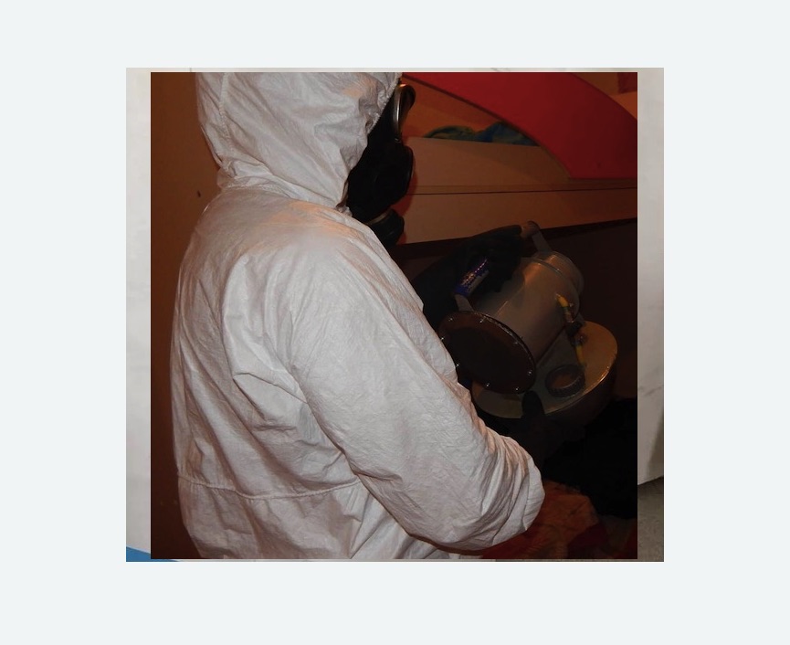 Дезинфекция от муравьев в Кубинке