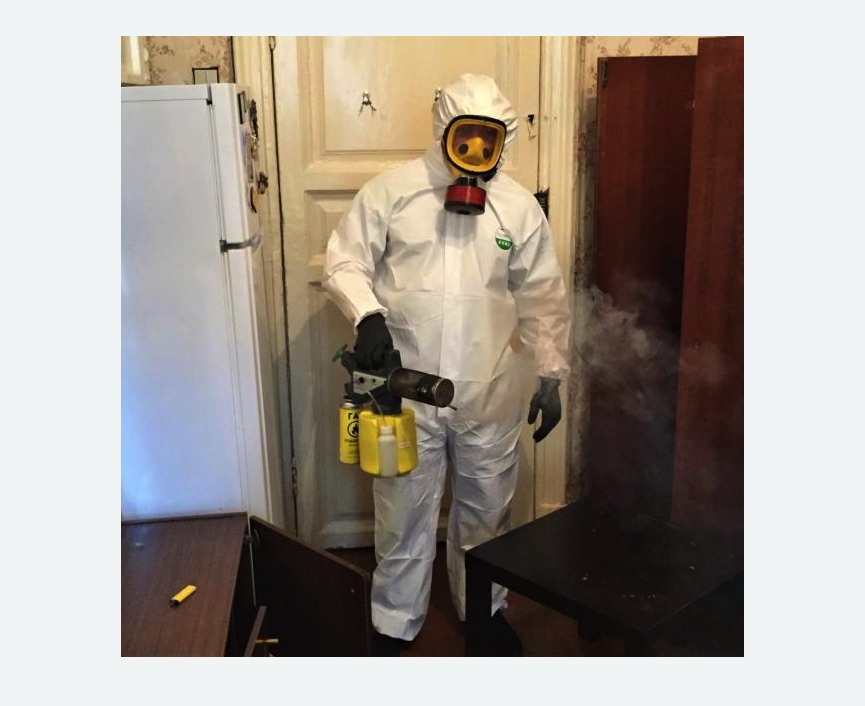 уничтожение муравьев в квартире в Кубинке